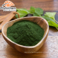 Wholesale MOQ 1kg chlorella vulgaris powder for weight loss health supplement
